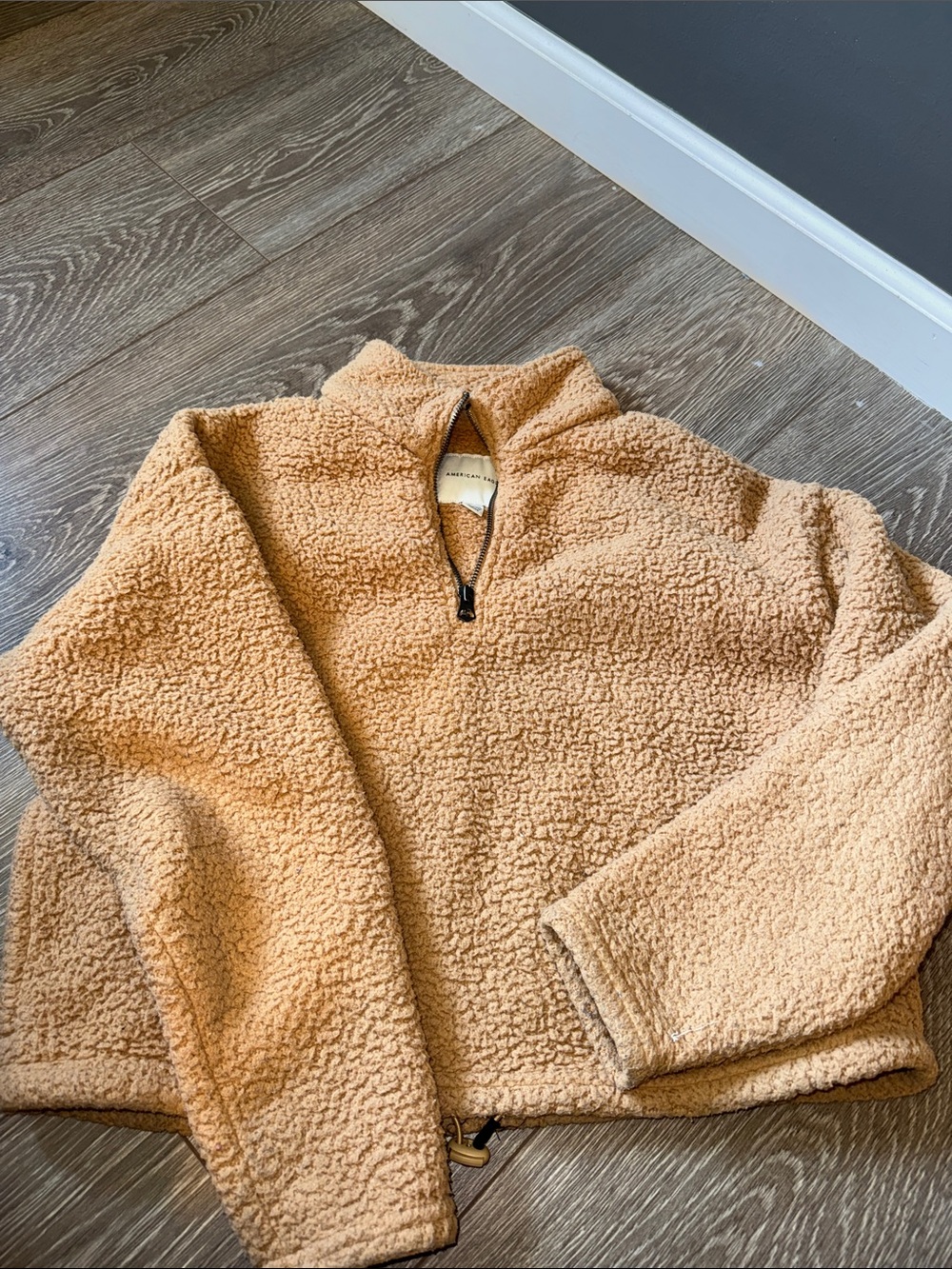 American Eagle Outfitters Tan Teddy Sherpa Jacket